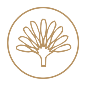 palmtree
